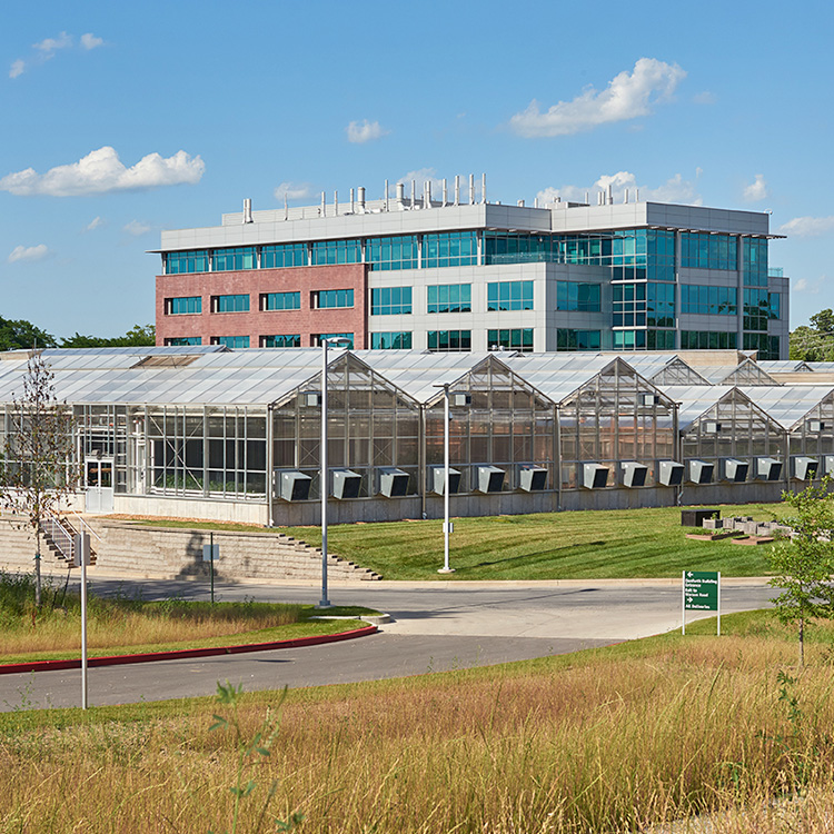 BRDG Park